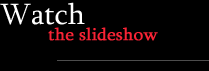Start the slide show